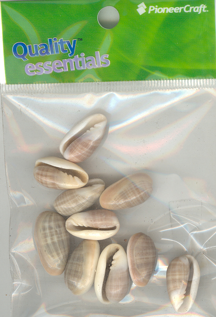 Cowrie Shells Hang Sell 10 pieces per pkt