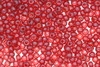 Czech Seed 11/0 R Transparent; Garnet 100g