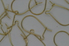 Ear Wire 15mm Gold