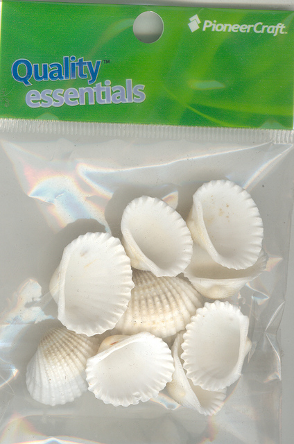 White Cockle Shells 10 pieces per pkt