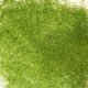 Fine Glitter .3mm 500g, Lime