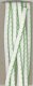 (image for) 6mm Fancy Bias Binding Lt Green Cotton Folded x 3m