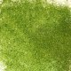 (image for) Fine Glitter .3mm 500g, Lime