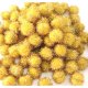 (image for) Glitter Pom Pom 20mm; Yellow 100p