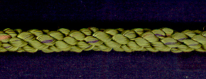 Cushion Cord Natural, Mist, Price per mt - Click Image to Close