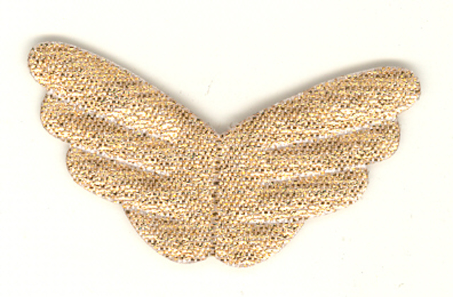 Angel Wings (image for) Angel Wings