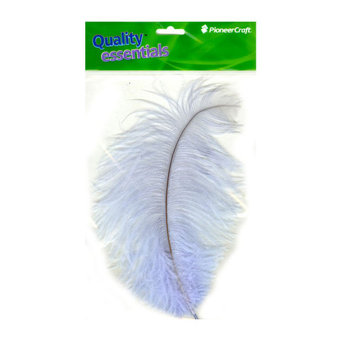 (image for) Ostrich Drab 9-11in, Light Blue