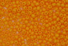 (image for) Czech Seed 11/0 Op Orange 500g
