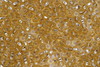 (image for) Czech Seed 5/0 SLS Lined Topaz 500g