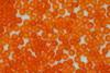 (image for) Czech Seed 11/0 R Tr Orange 500g
